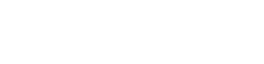 Anexa, solutions d'affaires